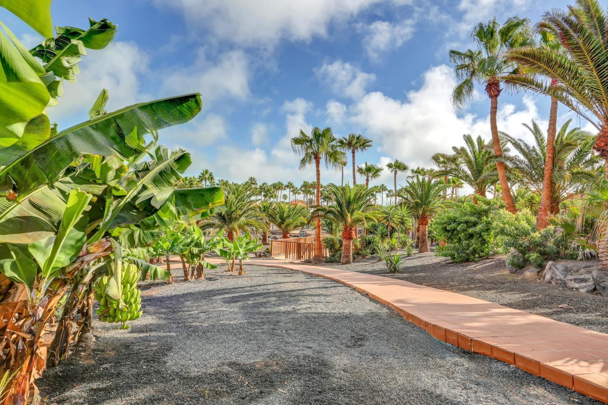 Apartament Oasis Royal Corralejo Zewnętrze zdjęcie